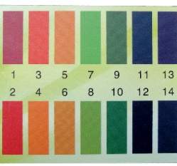 PH�s�θկ�(76�i)