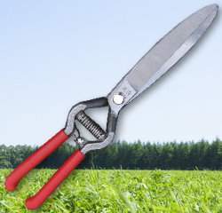 �̳��X�����ۥ��h(�j�O��~����X����)