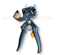 �M�QSKS���Ҷ�����