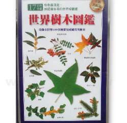 �@�ɾ���Ų-500�إH�W