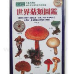 �@��ۣ����Ų-500�إH�W