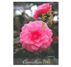 �x�W����Camellias700