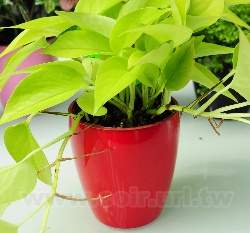 �鲡�G�m�M��(3�o�֥�)~�G����