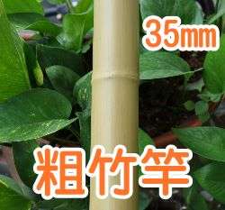 35mm��ˬ�~8��(245CM)4��/��