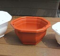 12�����-5�o