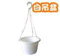 6寸(18cm)白吊盆-附吊繩(300個/箱)