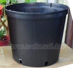 1��(30cm)�����~�¦�