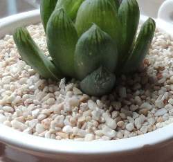 �̨���1~3mm(�����)1500���J��