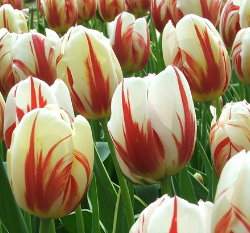 �{�����زy(���K���R)3�y��