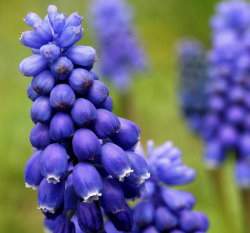 ���孷�H�l(��)5�y��