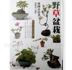 ����֮�-���ͯ�쪺�����