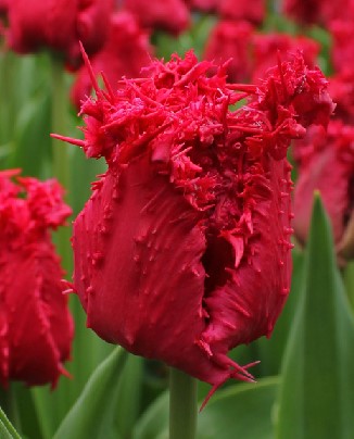 �b�a�ؾi�ʹӪ��u²��-30�ثO���Ӫ�