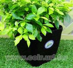 7�o�鲡�諬��~�G��(�L�})