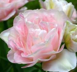 �{�����زy(�ѨϨd��)3�y��