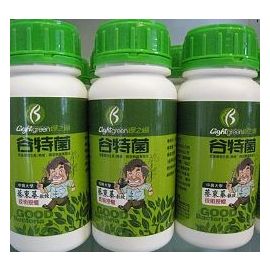 T168 Biopromoter�Ӫ��ͪ��P�i��(�s��18��)1���ɸ�