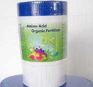 �ƦX�ͤƮ���(�i���)1��������