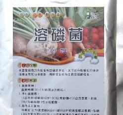 ��-���C��(����)