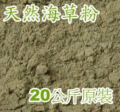 �ѵM����20������