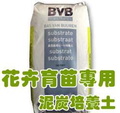 ����BVB��c�|�]�M�Ϊd���g-70���ɭ��