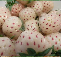 ���(�ի��F)�ؤl