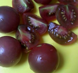 �����f�X�ؤl(�h�Ĳ���)