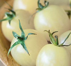 �B���f�X�ؤl(���ի~��)