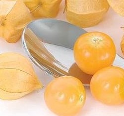 �q�}���f�X�ؤl~�OŢ��