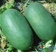 �p�V��(�p�f)�ؤl