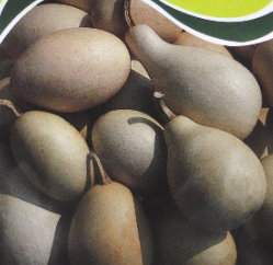 �ճJ�n��Gourd�ؤl