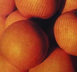 ٮ�a�n��Gourd(����)