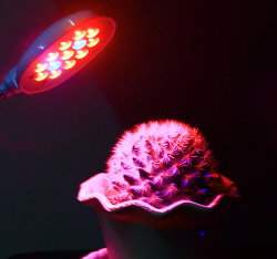 �Ӫ����LED�O(�ͪ��M��)��~USB�q��