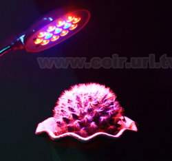 �Ӫ����LED�O(�}��ήڲ��M��)��~USB�q��