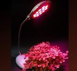 �i�O��~�Ӫ����LED�O(�ڲ��}��M��)�t������