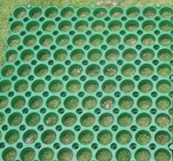 ��֫O�@��(50X50x2.5cm)�@���(�t4��T�w�v)