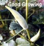 �S���~��~�ժ��