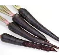 �`���J�ڽ��ؤl