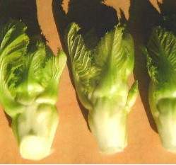 ��������~F1�ؤl