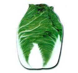 �������u���j�յ�ؤl