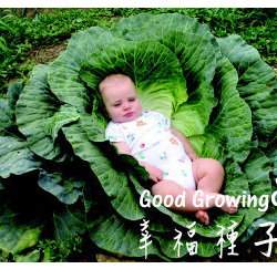 ���j���R��ؤl