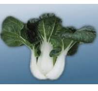 �G�}���o�յ�(�|�u)