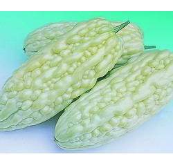 ��ī�G�W��