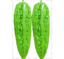 ���ͫC�W��