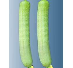 ���֪��u~��~���ʡ]�֥i���Ρ^