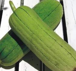 �@���ζ굩����