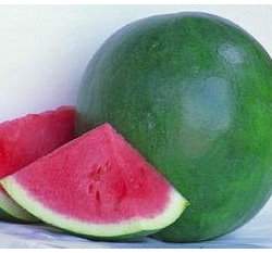 �¥ֵL����watermelon