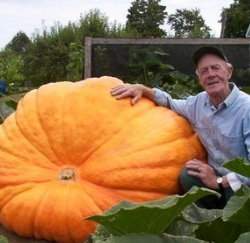 ���ꥨ�j�n��