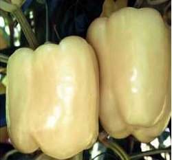 �H���ղ���