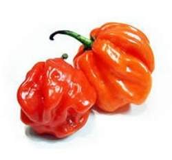 Ĭ��������~���