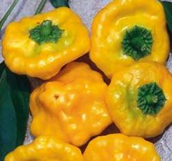 ����~���R�[����