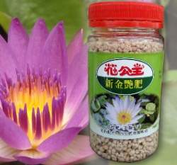 �s���A���ʪ�(150���J)���ʹӪ��M��